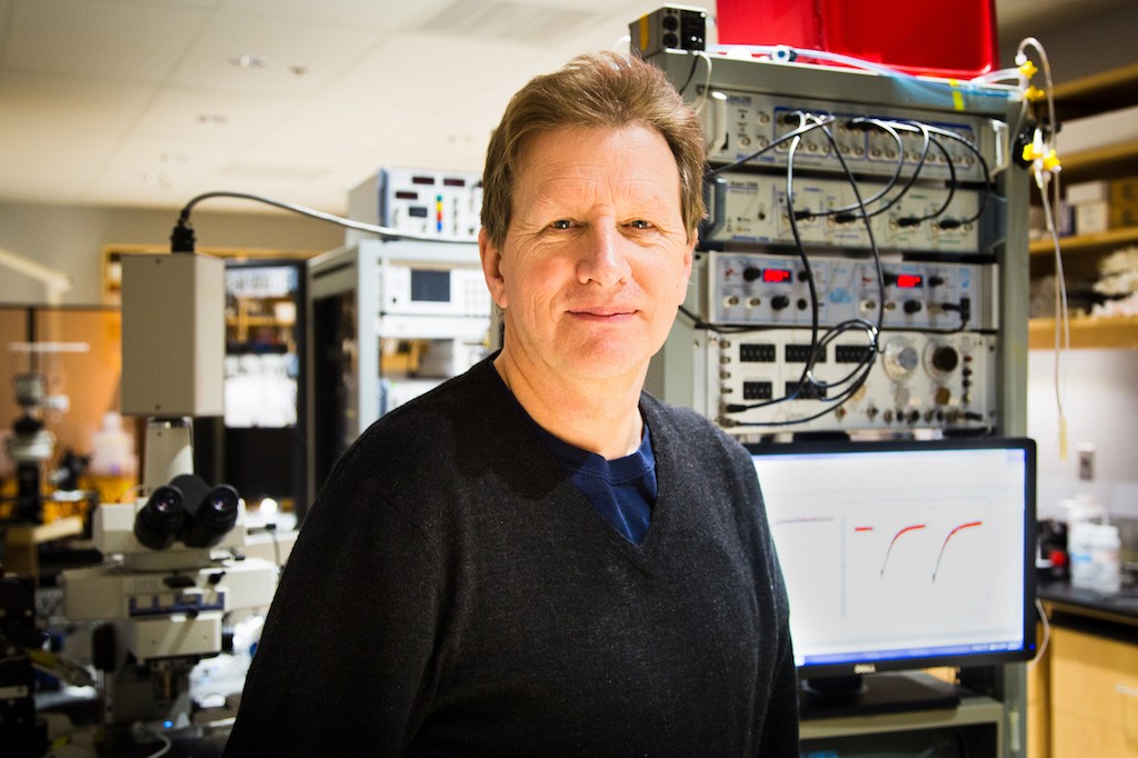 Professor Graham Collingridge