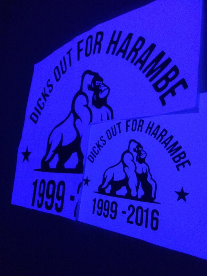 gorilla3