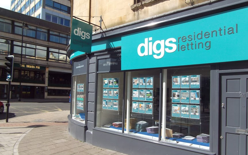 digs-2