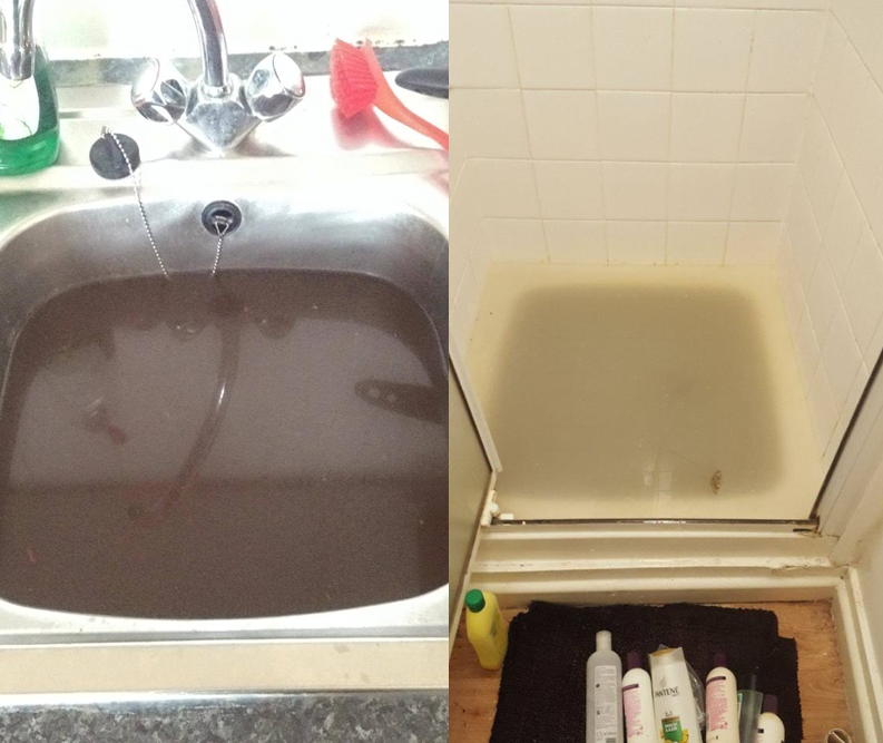 Sewage that came up in Chloe's sink and shower