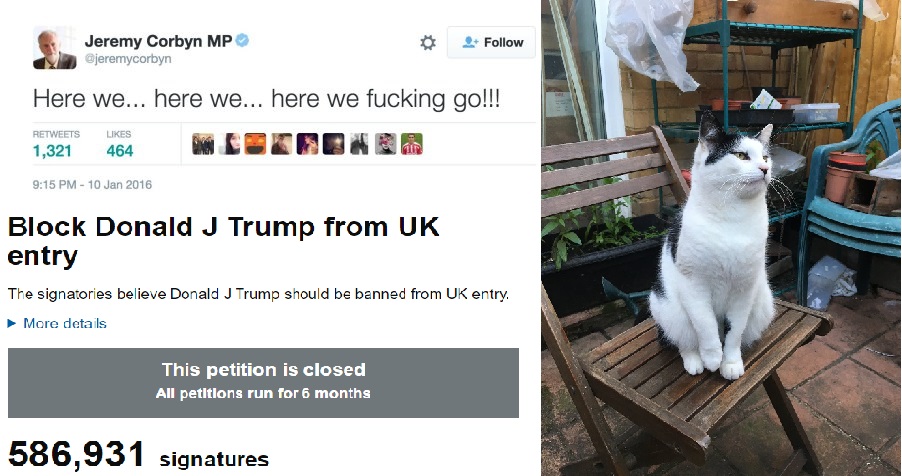 Top left: Corbyn's Twitter account hacked, Bottom left: the petition to ban Trump, Right: Corbyn's cat