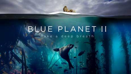 Attenborough's new series Blue Planet II
