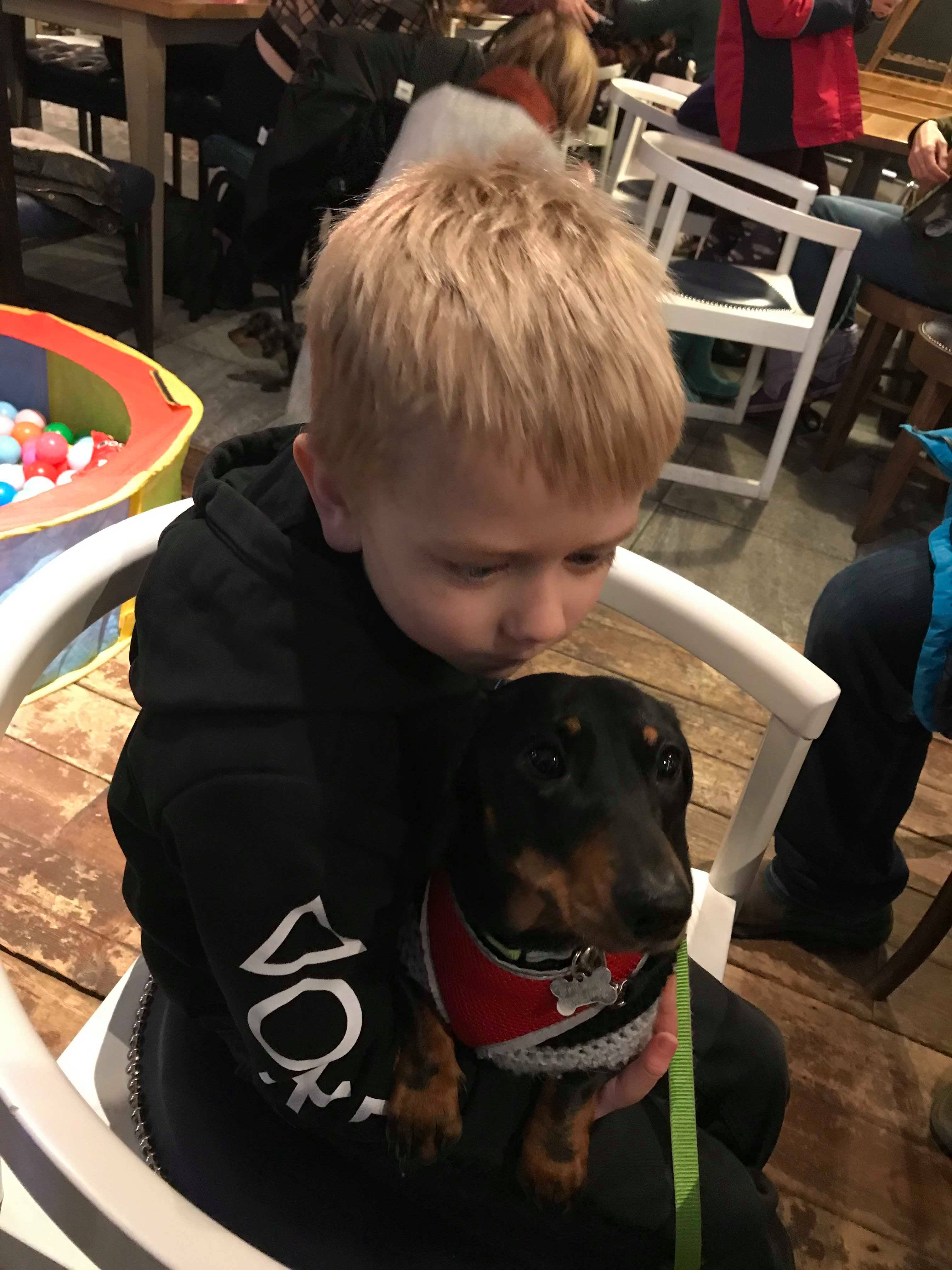 Image may contain: Mammal, Canine, Pet, Hound, Dog, Animal, Wood, Clothing, Apparel, Person, Human