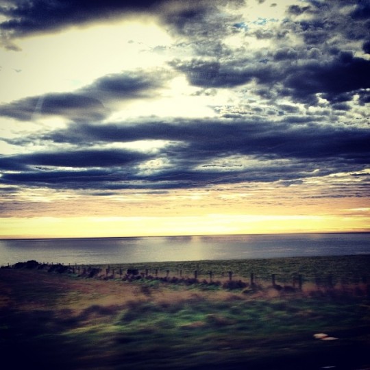 Sunlight: last spotted November 2013