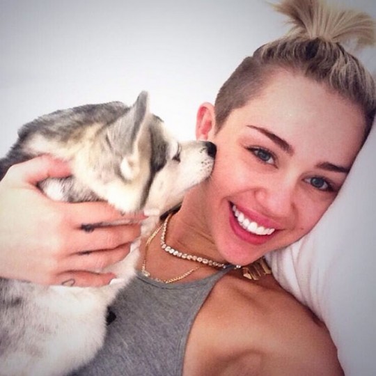 elle-insta-wiktionary-selfie