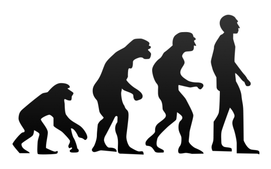 evolution