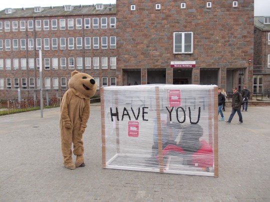 Niteline's mascot - Bozie the bear