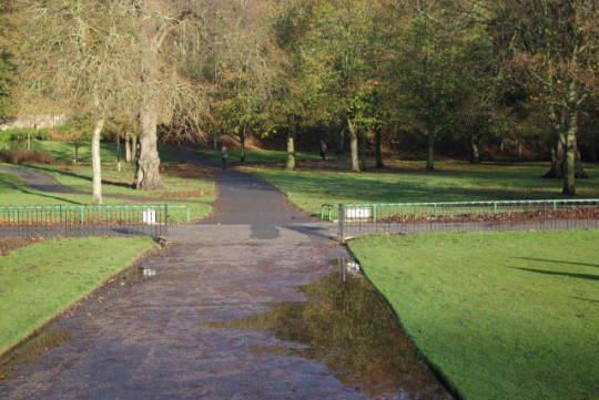 "Who would live near a park like this?" - Lloyd Grossmann