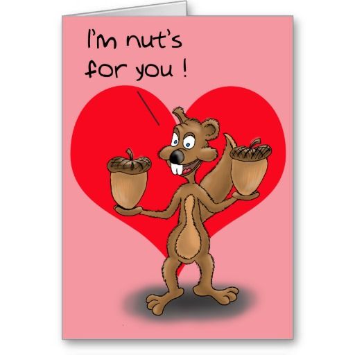 squirell