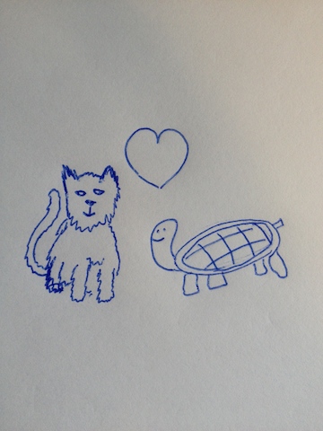 cat and turtle again