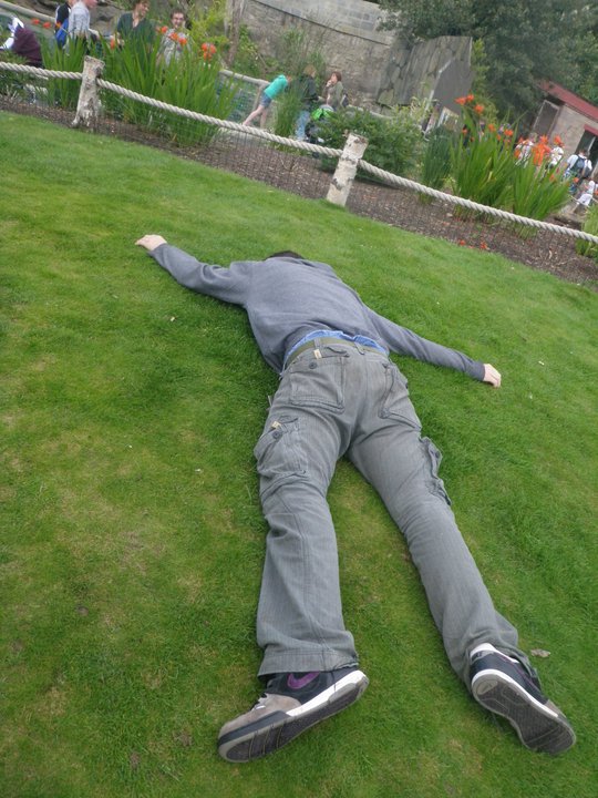Playing dead is an effective form of avoidance