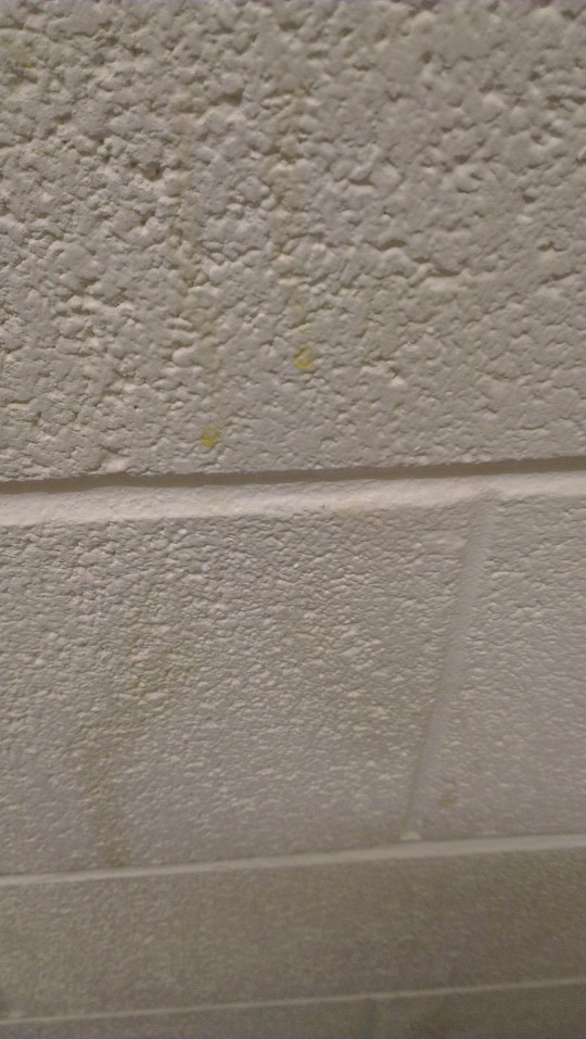 IMAG0664