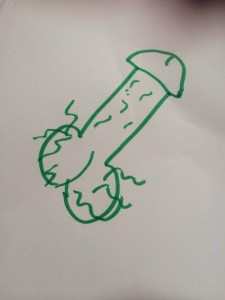 dick