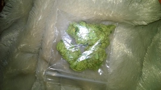 joints