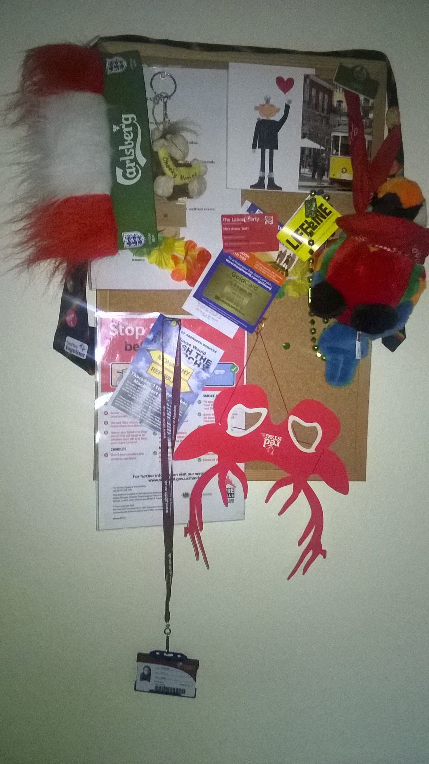 This attempt from last year is proudly hung up.
