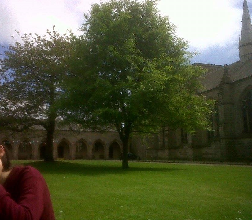 Happiness is sitting on grass apparently