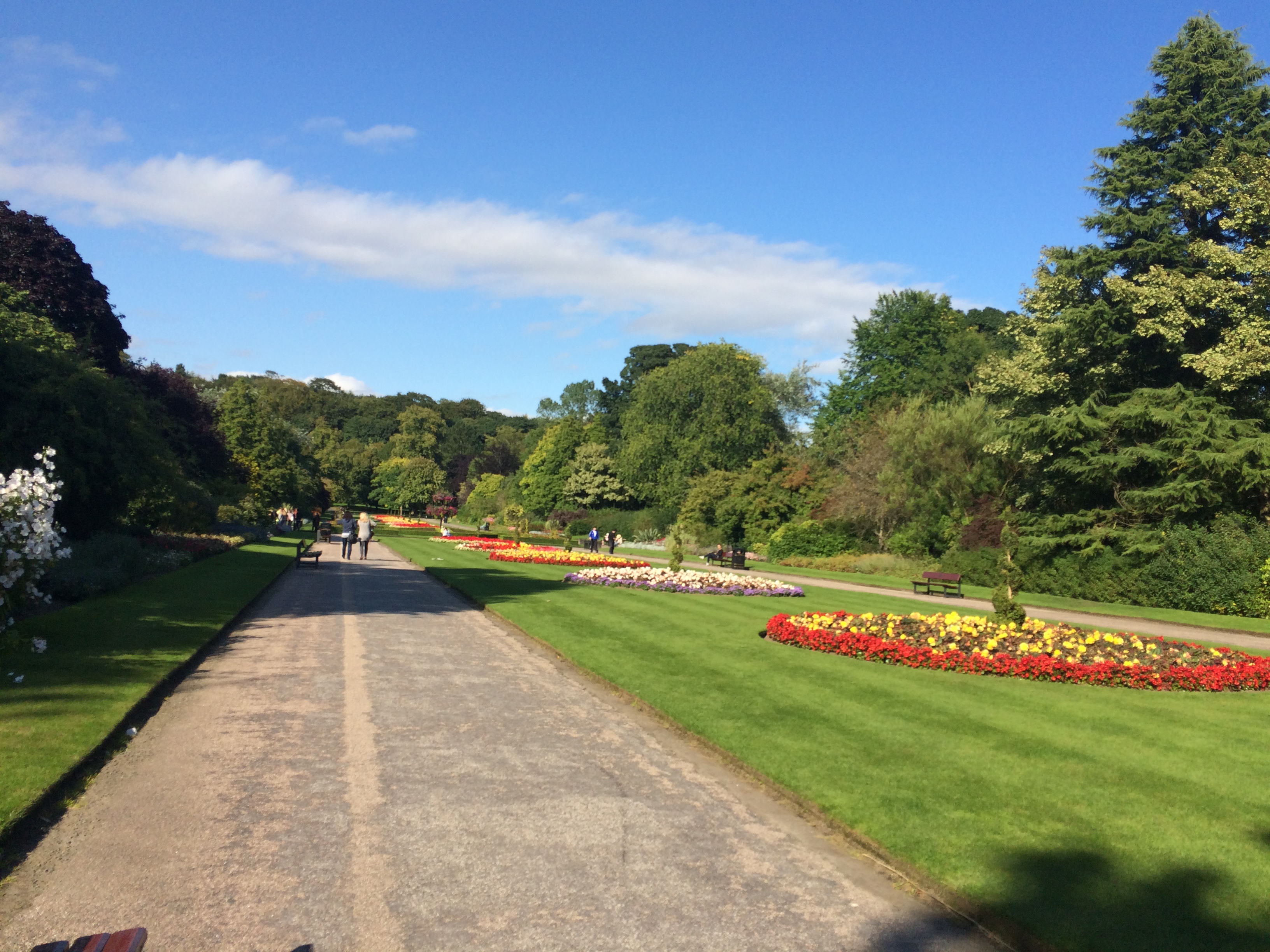 Morning walks don't seem so bad now do they?