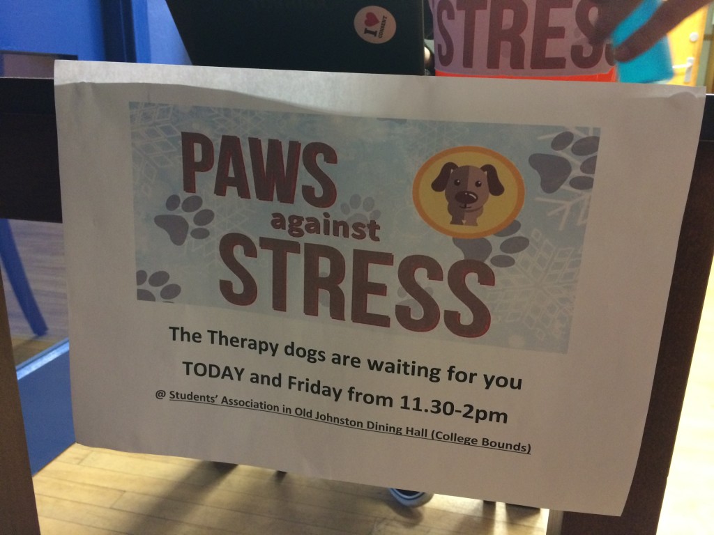The excitement at this point was unbearable