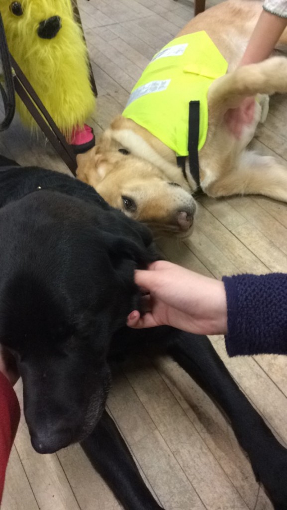 'And they called it puppy looove'
