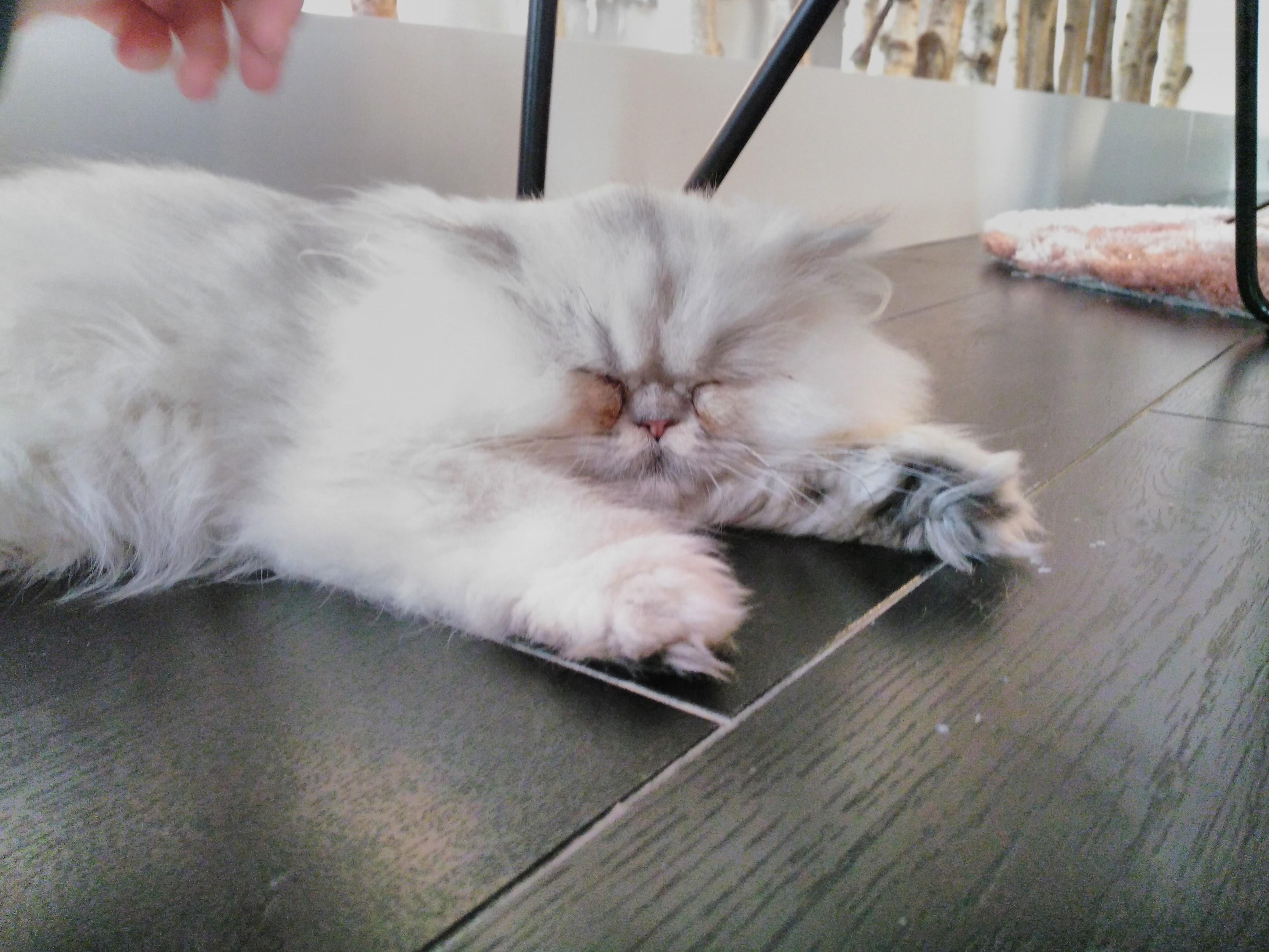 There's no lack of fluff in here