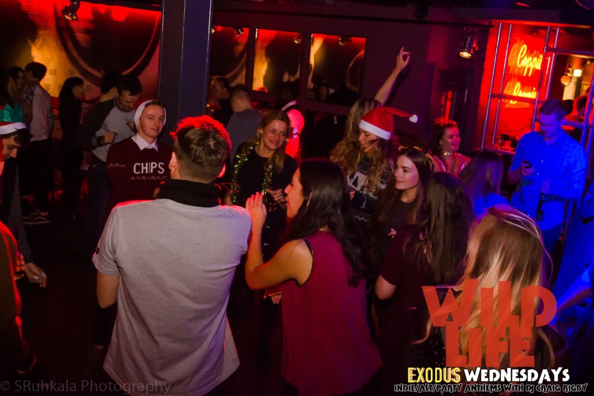 Image may contain: Pub, Bar Counter, Night Life, Night Club, Club, Party, Person, People, Human