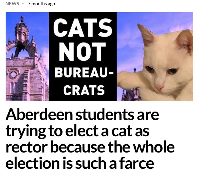 Image may contain: Collage, Clock Tower, Siamese, Pet, Mammal, Cat, Animal, Poster, Paper, Flyer, Brochure, Tower, Building, Bell Tower, Architecture, Person, People, Human