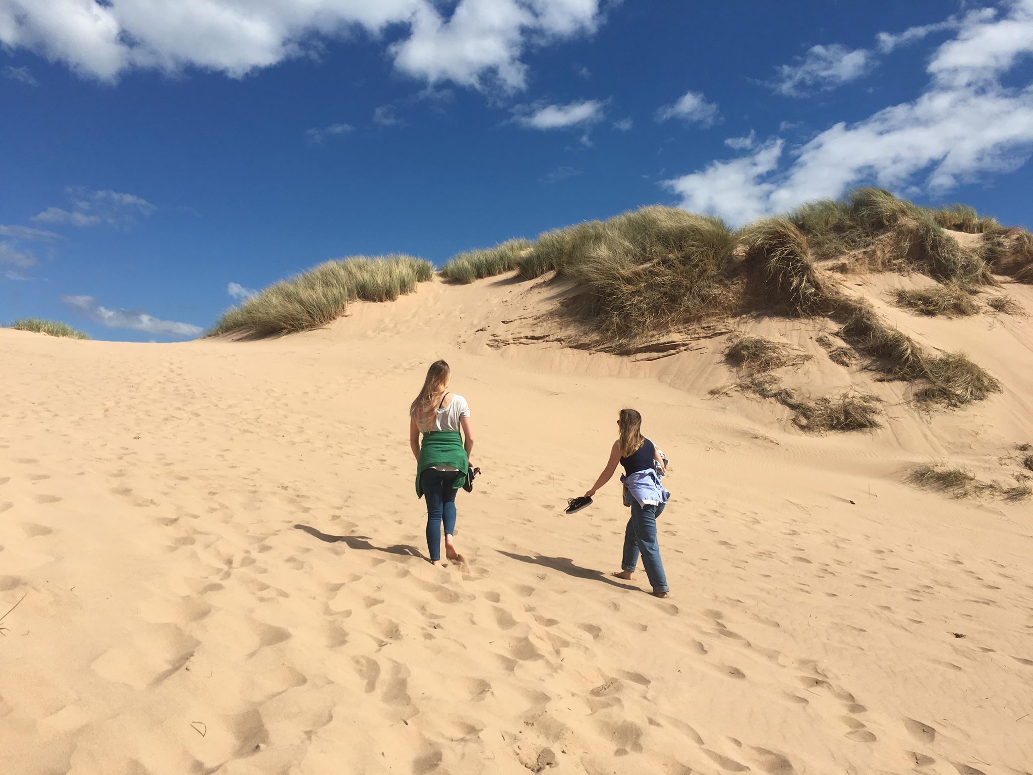 Image may contain: Nature, Desert, Dune, Soil, Sand, Outdoors, Person, People, Human