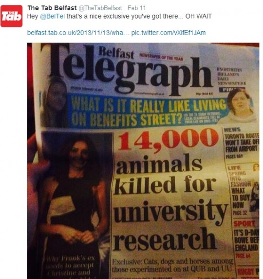 beltel