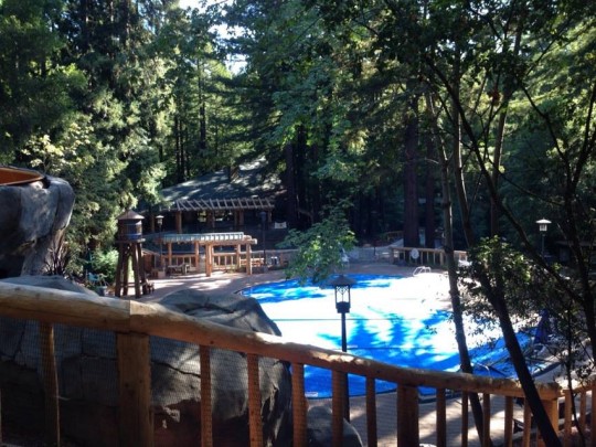 Nestled among the redwood trees...