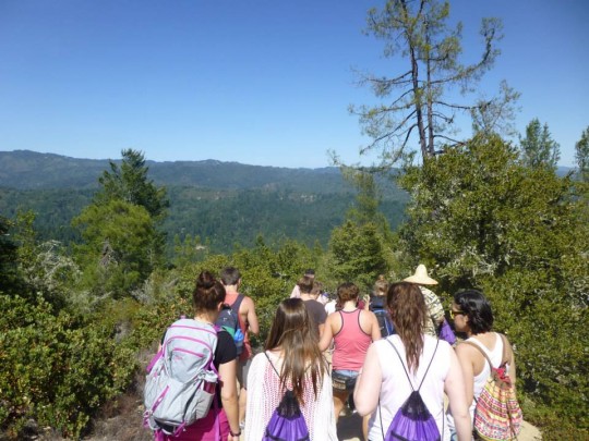 Up in the trees... the most amazing views! If you can still see by that stage (walking in 90deg heat is not bloody easy)
