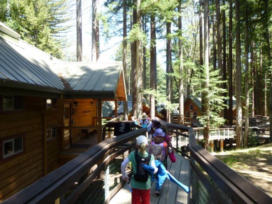 Nicest cabins for the littlest ones