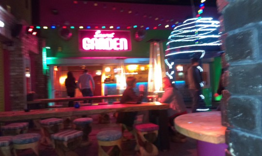 IMAG0110
