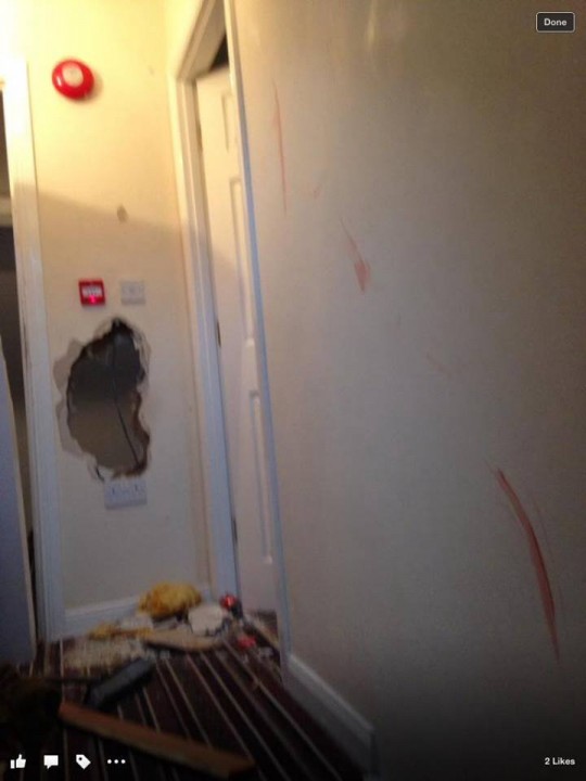 Either there is a basilisk in this house or somebody with a really sore head