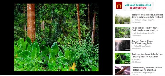 YouTube has loads of rainforest sounds for you to fall asleep to