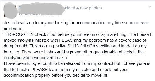 The facebook status