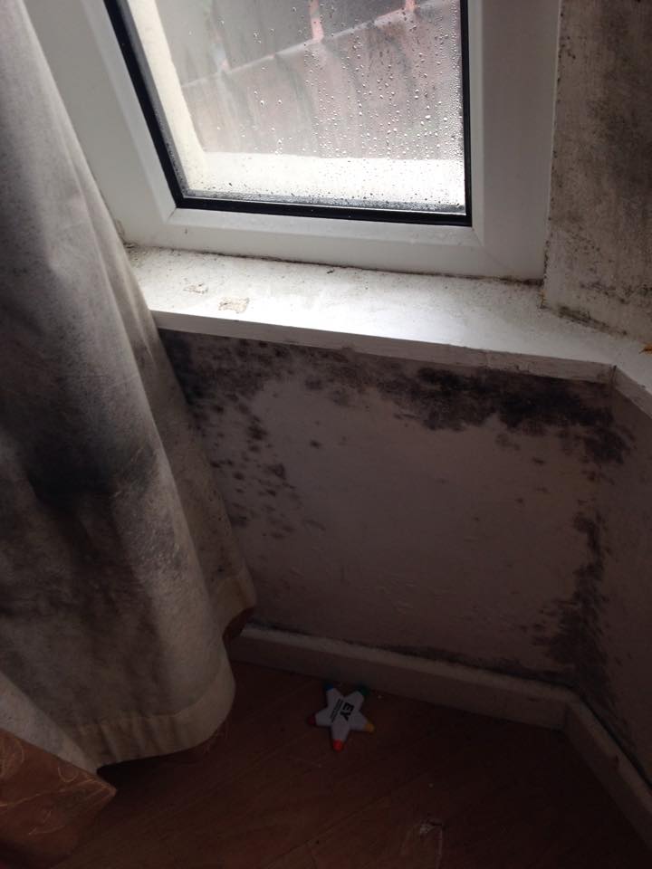 A wall covered with damp and mould