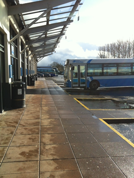 bus