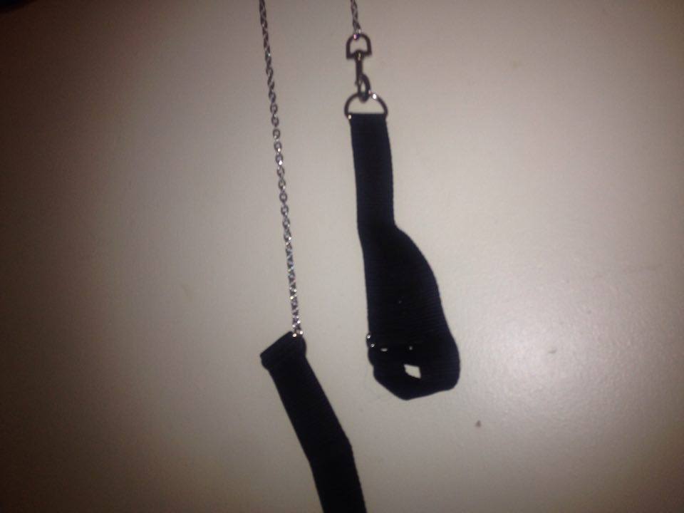 A leash