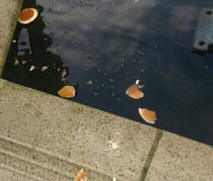 pancake3