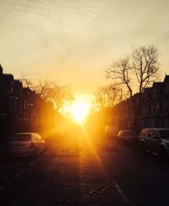 Everything to sun touches Simba, everything the sun touches