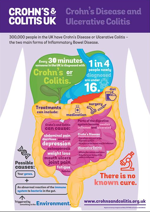 ibd-info
