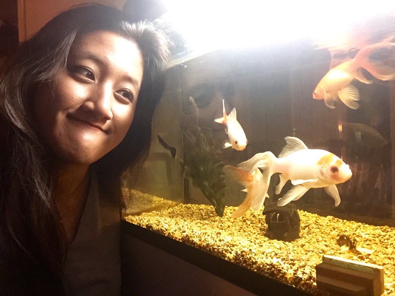 "My pets just don't understand me at all - it's like they have the memory of a goldfish."