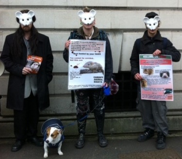 cardiff uni protests