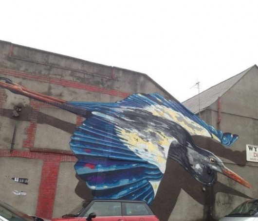 bird
