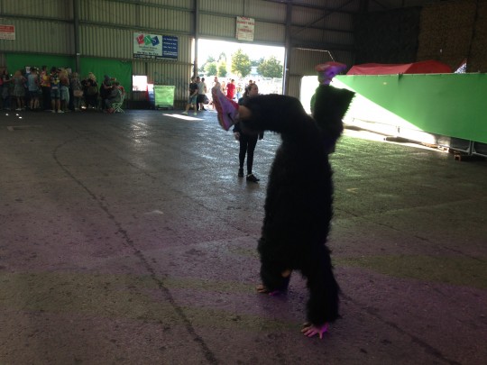 An otherwise utterly convincing Gorilla breaks character to indulge in some acrobatics.