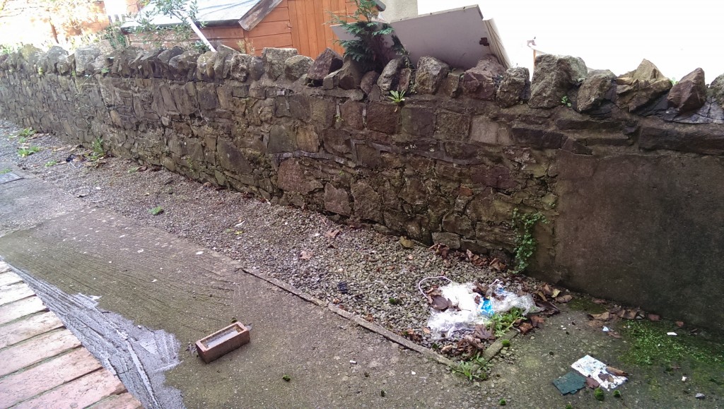 A typical Cathays garden.