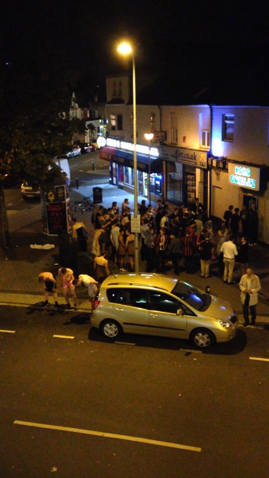 The average Wednesday night view from our kitchen