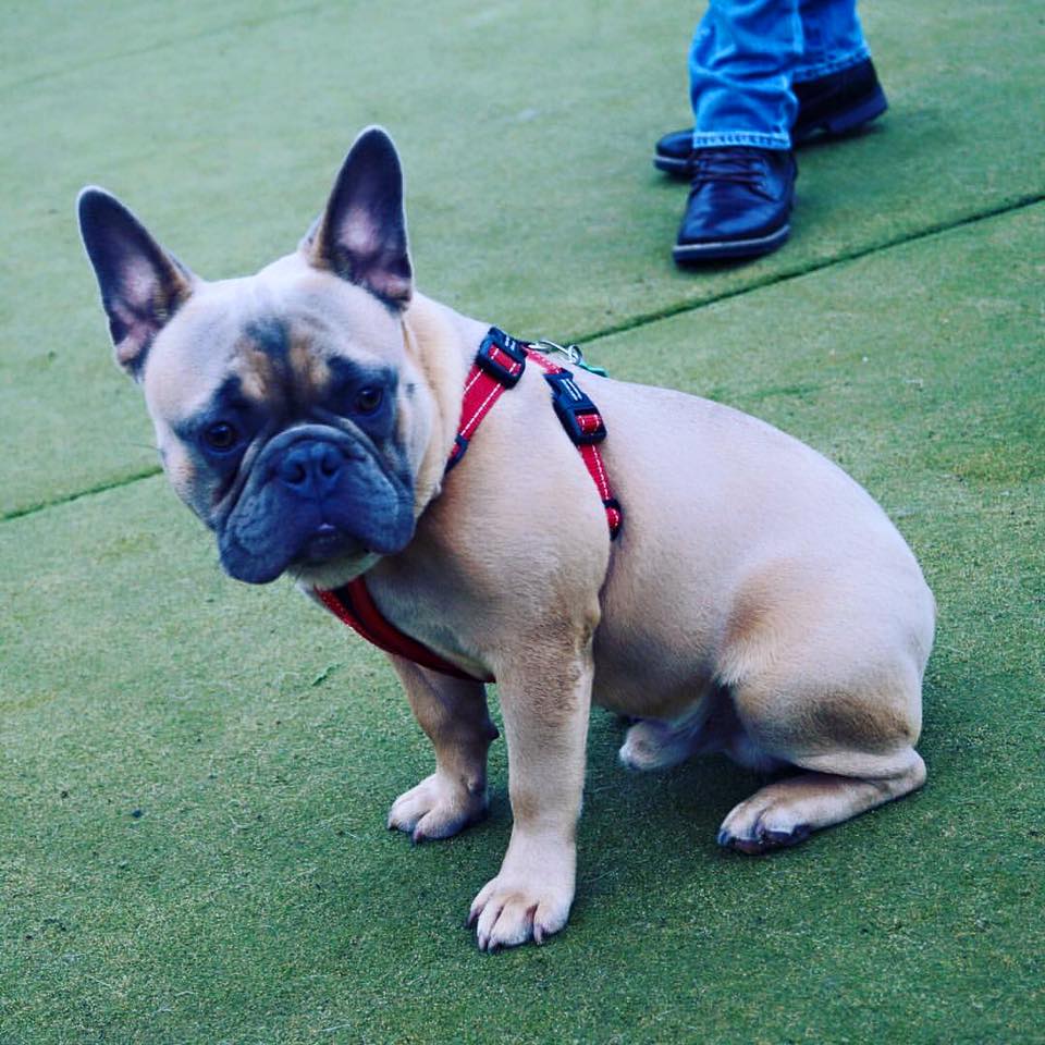 Look at his little face