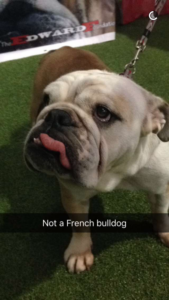 still cute though