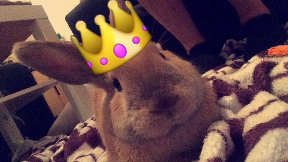 prinny